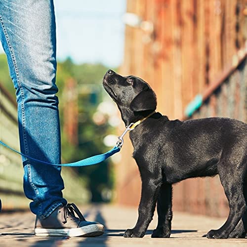 Double Ended Bolt Snap Hooks - 2 Pack Heavy Duty 316 Stainless Steel Trigger Chain 3.5 Inch Marine Grade Metal Clips For Farm Use,Water Bucket,Dog Leash,Horse Tack,Key Chain And Diving #TOP1