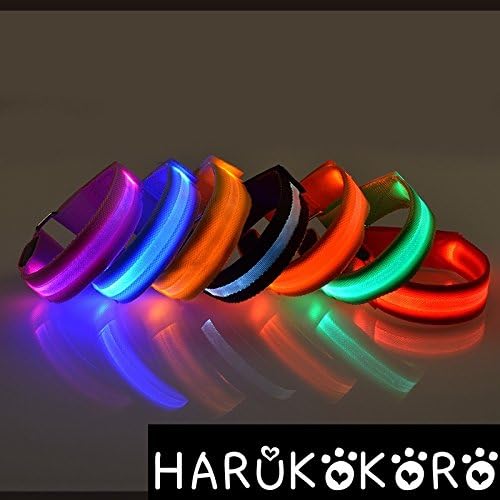 Harukokoro(TM)Rechargeable LED Luminous Waterproof USB Dog Collars, 7 Colors, Retractable Strap, 3 Flash Modes, Red, L