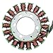 Caltric Stator Compatible With Honda Cbr600F3 1995 1996 1997 1998 Compatible With Honda Cbr600F3 Magneto