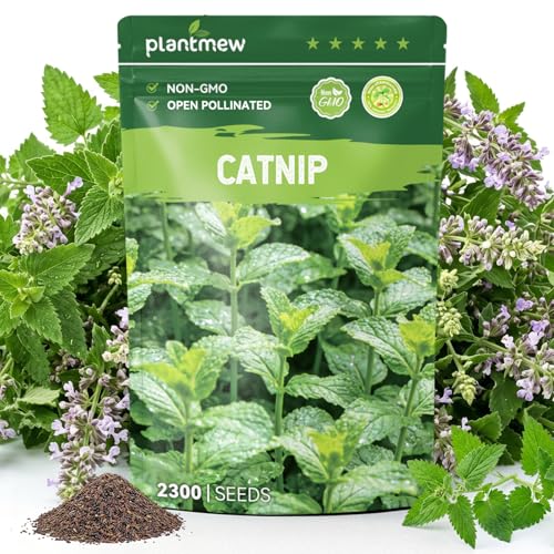 PLANTMEW 2300 Catnip Seeds for Planting Indoors & Outdoors - Premium Non-GMO Herb Cat Nip Plant Seeds High Germination Rate - Grow Fresh Cat Grass