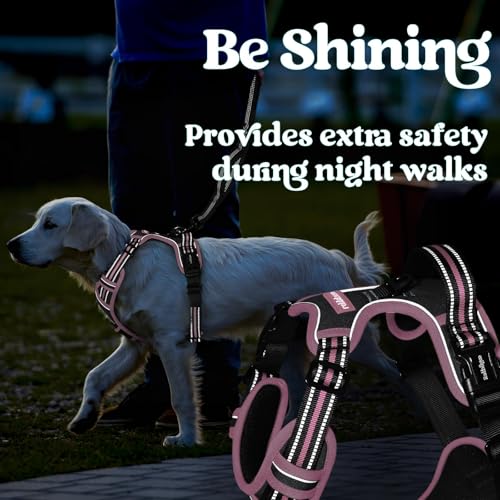 rabbitgoo Dog Harness Medium Sized, No Pull Pet Harness with 3 Buckles, Adjustable Soft Padded Vest with Control Handle, Walking Reflective Pet Vest for Medium Dogs, Black & Pink, M by rabbitgoo - Image 8