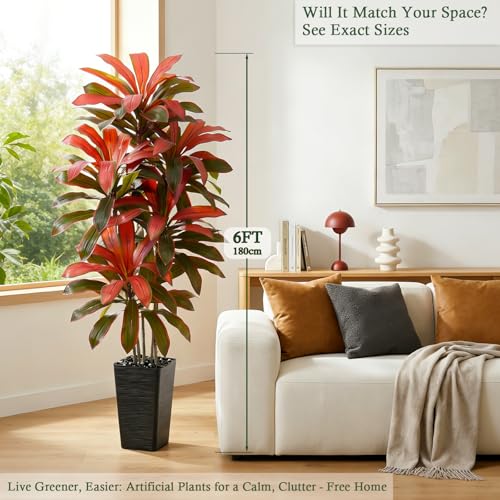 TNGGNT Artificial Dracaena Tree: 6FT Fake Plants Silk Faux Trees（Black Pot） by TNGGNT - Used condition - Image 2