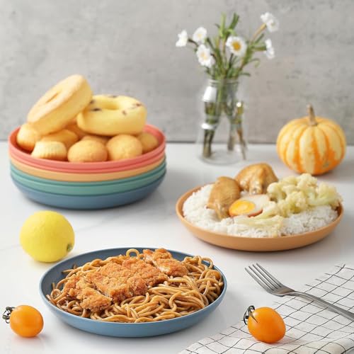 Image of Pepplo Serving Bowl for Soup, Noodle, Pasta, Camping, Picnic, Family Dinner, Salad, Cake, Ice Cream, Pho, Oatmeal, Cereal, Snack, Melamine, Biryani Microwave Safe (20cm+23cm, Blue, Pack of 4)