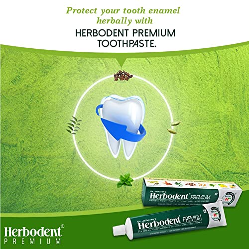 Herbodent Premium Toothpaste - Pack Of 12 #TOP2