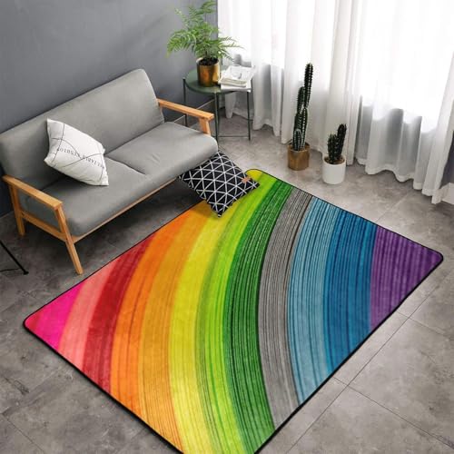 Tapis de chambre lavable en machine 150 x 100 cm antidérapant et multicolore