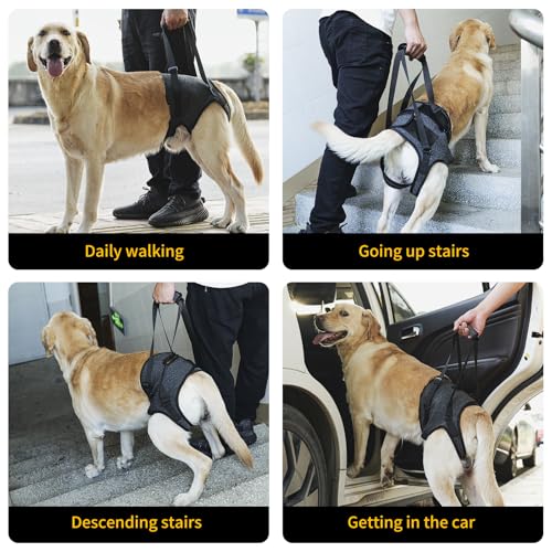 HEYWEAN Dog Sling for Large Dogs Hind Leg Support Harness Ideal for Elderly Injured Arthritic Dogs Provides Rehabilitation Aid for Weak Back Legs Comfortable and Durable Design by HEYWEAN - Image 7