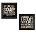 Humorous Bathroom "Soap is Not Just for Decoration" and" Changing the Toilet Paper Will Not Cause Brain Damage" Prints; Two 12x12in Paper Poster Prints