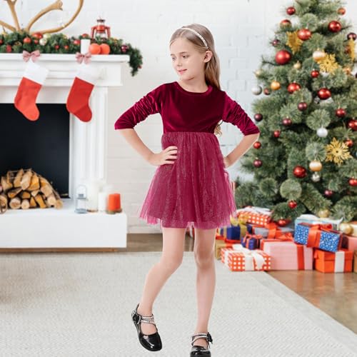 U·nikaka Baby Girls Velvet Long Sleeve Toddler Flower Girls Dress Fall Winter Tutu Birthday Tea Party Tulle Princess Dresses3