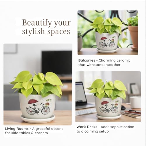 Image of Urban Upvan Cycle Design Printed Ceramic Pot with Tray - Premium Decorative Planter for Indoor & Outdoor Plants, Modern Elegant Flower Pot for Home, Garden & Office