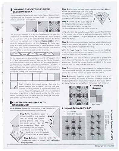 Quiltworx Judy Niemeyer Cactus Flower Blossom Pattern #TOP6
