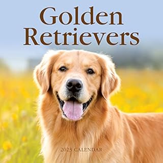 Golden Retrievers 2023 Large Wall Calendar, by Fresh Publishing , Size 12in x 24in (Open), Thick & Sturdy Eco Friendly (FSC) Paper.
