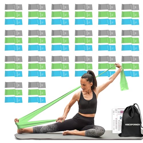 HIMESPORNER 60 Pcs Professional Resistance Bands, Latex-Free Stretch Bands for...