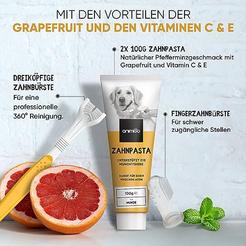Katzenzahnpasta Animigo gegen Zahnstein und Mundgeruch 2x100g