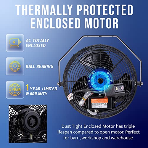 Tornado 12 Inch Outdoor Rated Ipx4 Water-Resistant High Velocity Metal Industrial Wall Mount Fan For Commercial, Industrial, Residential, Teao Motor 3 Speed 1650 Cfm 6.6 Ft Cord Cetl Safety Listed #TOP3