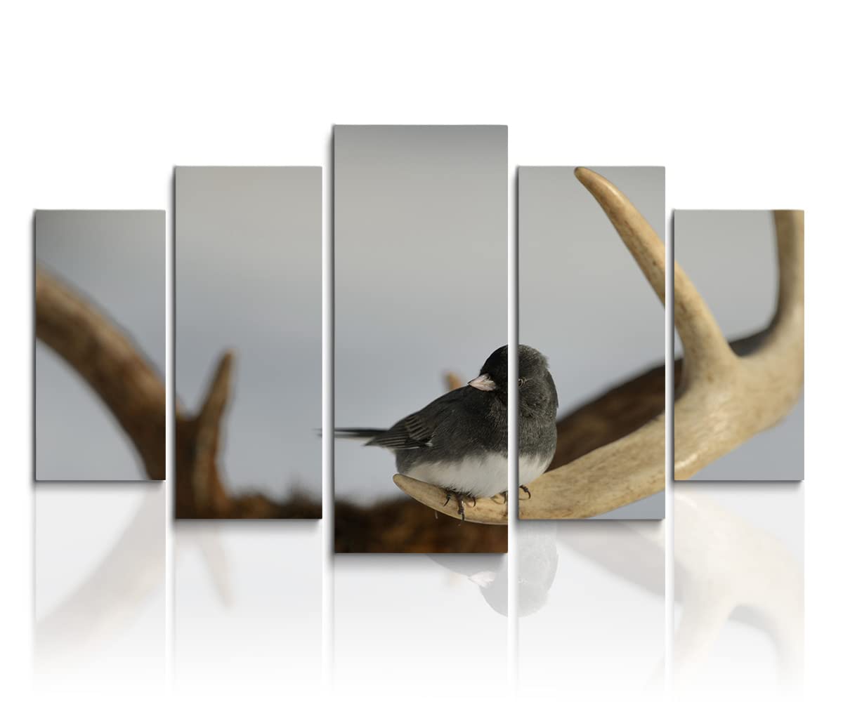 canvas painting 5 panel canvas wall picture print on room wall art-Bird -with frame (small)