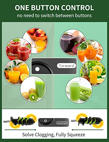 Vegetable Juicer For Celery Wheatgrass Spinach Ginger, Fruit Juicer Machines Slow Masticating Juicer Cold Press Juice Extractor Pulp Separated, Quiet Motor, Dishwasher Safe, Easy To Clean, Bpa Free #TOP2