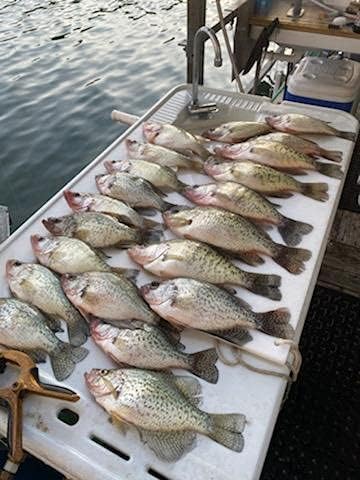 Miniatura 4 de Green Blob Outdoors Nueva luz de pesca LED subacuática 15000 lúmenes 12 V batería alimentado con pinzas de cocodrilo luz de pescado atracción Snook