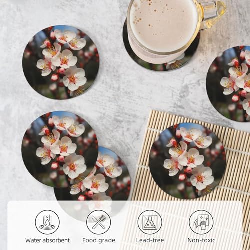 Dessous de verre en liège et céramique premium, protection de table durable