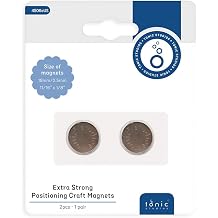 Tonic Studios Extra Large Craft Magnets 18mm 2/Pkg-Neodymium