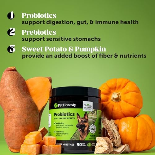 6 Billion CFU Dog Probiotics with Prebiotics, Digestive Enzymes, & Fiber - Relief for Occasional Diarrhea, Gas, Bloating & Itchy Skin - Daily Gut Health & Immune Support for All Dogs (Pumpkin, 90 ct) - 2