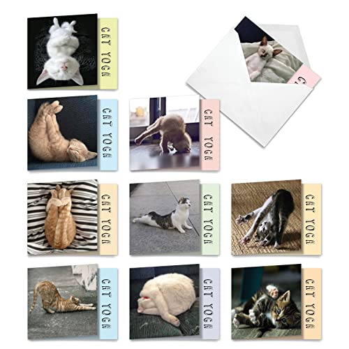 Cartes de vœux chat yoga pour envoyer un message personnalisé original