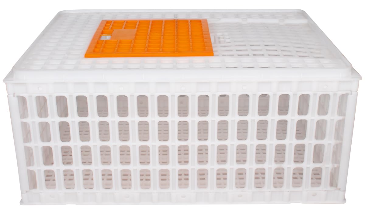Beeketal 'GBB-1' Geflügel Transportbox mit Schiebetür und Transportgriffen - Transportkiste aus robustem Kunststoff zum Transport von Geflügel und Kleintieren - (L/B/H): ca. 730 x 540 x 320 mm