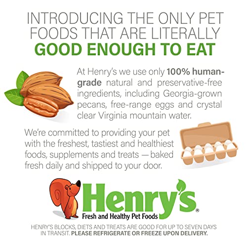 Henry's Hazelnut Stix - The Only Squirrel And Hamster Treat Baked Fresh To Order, 4 Ounces #TOP5