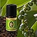 Produktbild Primavera Bio Duftöle für Aromatherapie zu je 5ml, Duft:Pfeffer schwarz Bio
