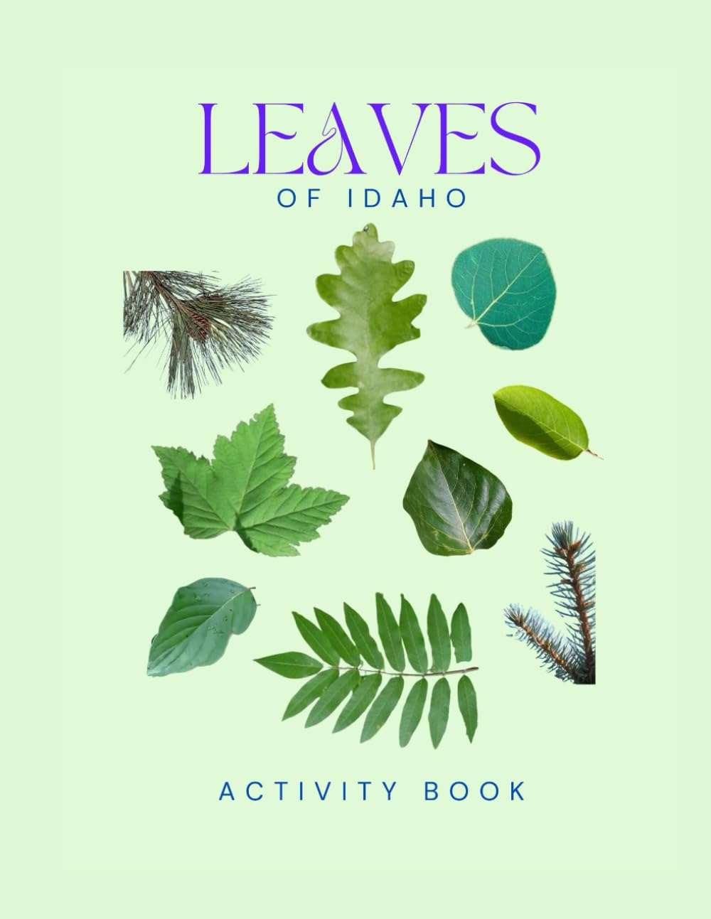 Leaves of Idaho Activity Book: A Young Explorer's Field Guide to Identifying the Leaves and Trees of Idaho (Idaho Nature Explorer Series)