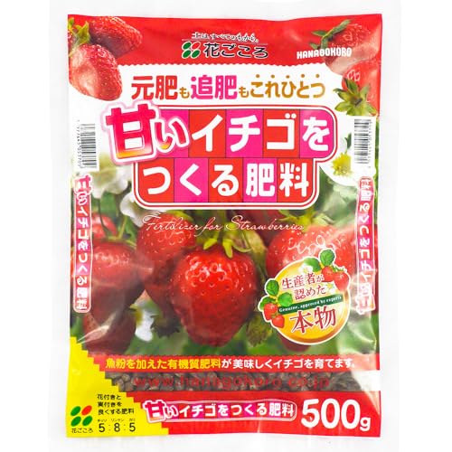 いちご肥料【 未開封 】NET 500g あま~い❗️イチゴ