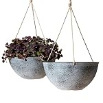 Hanging Planters Flower Pot