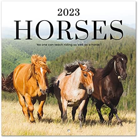Official Horses Wall Calendar 2023 12" x 12" FSC®| 12 Month Planner | Square Wall Calendar 2023 | Family Planner Calendar 2023 | Horse Calendar 2023 | + 4 Bonus Months