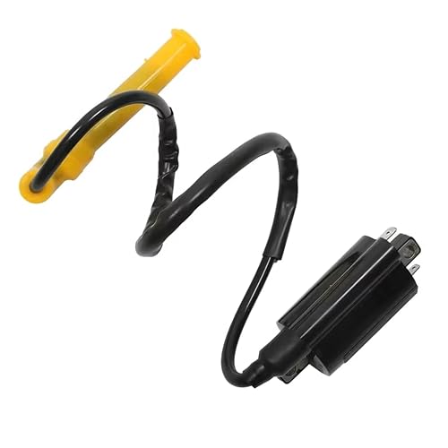 Bobine allumage Pour Rincon Pour 680 TRX680FA 4x4 2006-2014 TRX680FGA