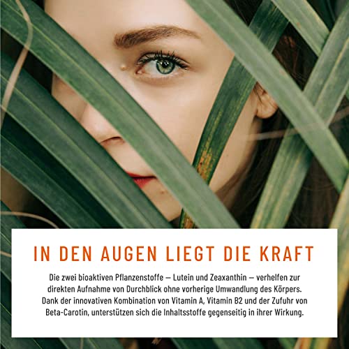 Augenvitamine - Lutein Zeaxanthin Komplex Kapseln mit Beta Carotin & Vitamin A hochdosiert & Vegan - 90 Augenkapseln mit Lutein 20mg für 3 Monate - Augen Vitamine - 100% natürlich