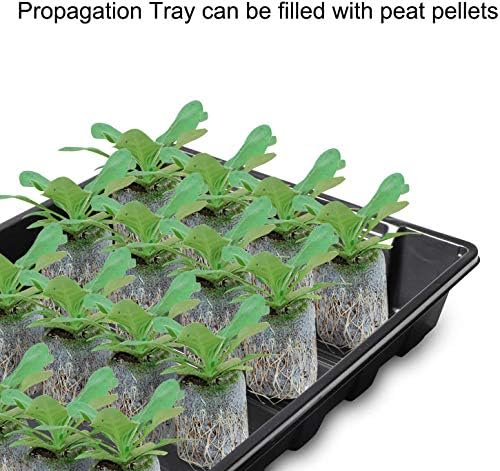 Richaa 5 Pack 120 Cells Seed Trays Propagator Seed Propagators with Lids Plastic Plant Propagation Station Windowsill Propagators Mini Indoor Greenhouses Garden - Image 4