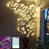 The Light Garden Lighted Willow Vine...