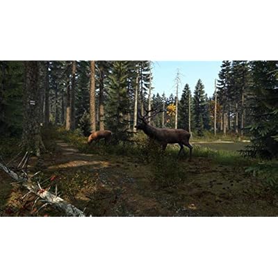 Dayz - PlayStation 4