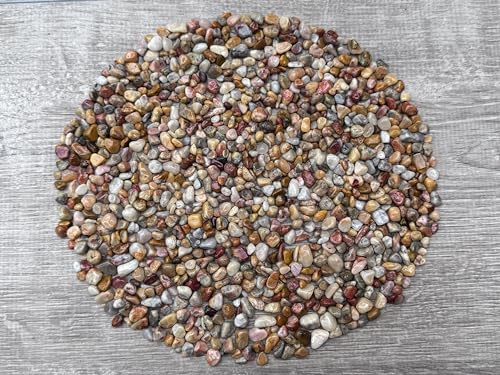 Image of GAF TREASURES 2 oz Lot Natural Crazy Lace Agate Semi Tumbled Gemstone Chips, Crushed Mini Crystals, Undrilled Crystal Chips (Crazy Lace Agate)