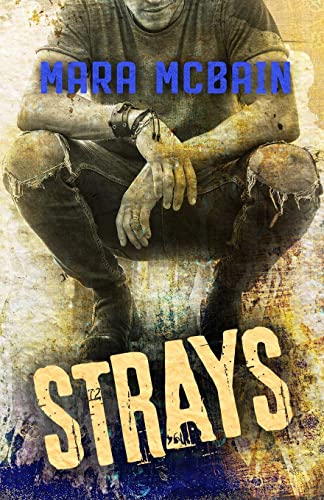 Strays view 2