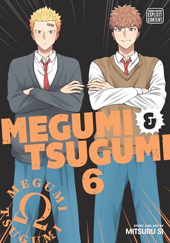 Megumi & Tsugumi, Vol. 6 (Yaoi Manga)