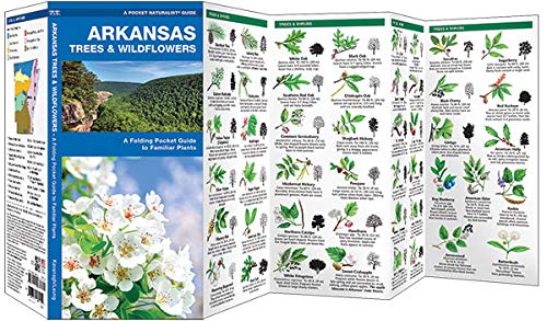 Arkansas Trees & Wildflowers: A Folding Pocket Guide To Familiar Plants (Wildlife And Nature Identification) #TOP1