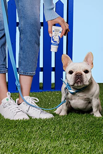 Squishface Wrinkle Paste - Bulldog, French Bulldog, Pug, English Bulldog – Cleans Wrinkles, Tear Stain, Tail Pockets, And Paws – Anti-Itch Tear Stain Remover & Bulldog Wrinkle Cream, 2 Oz. #TOP5