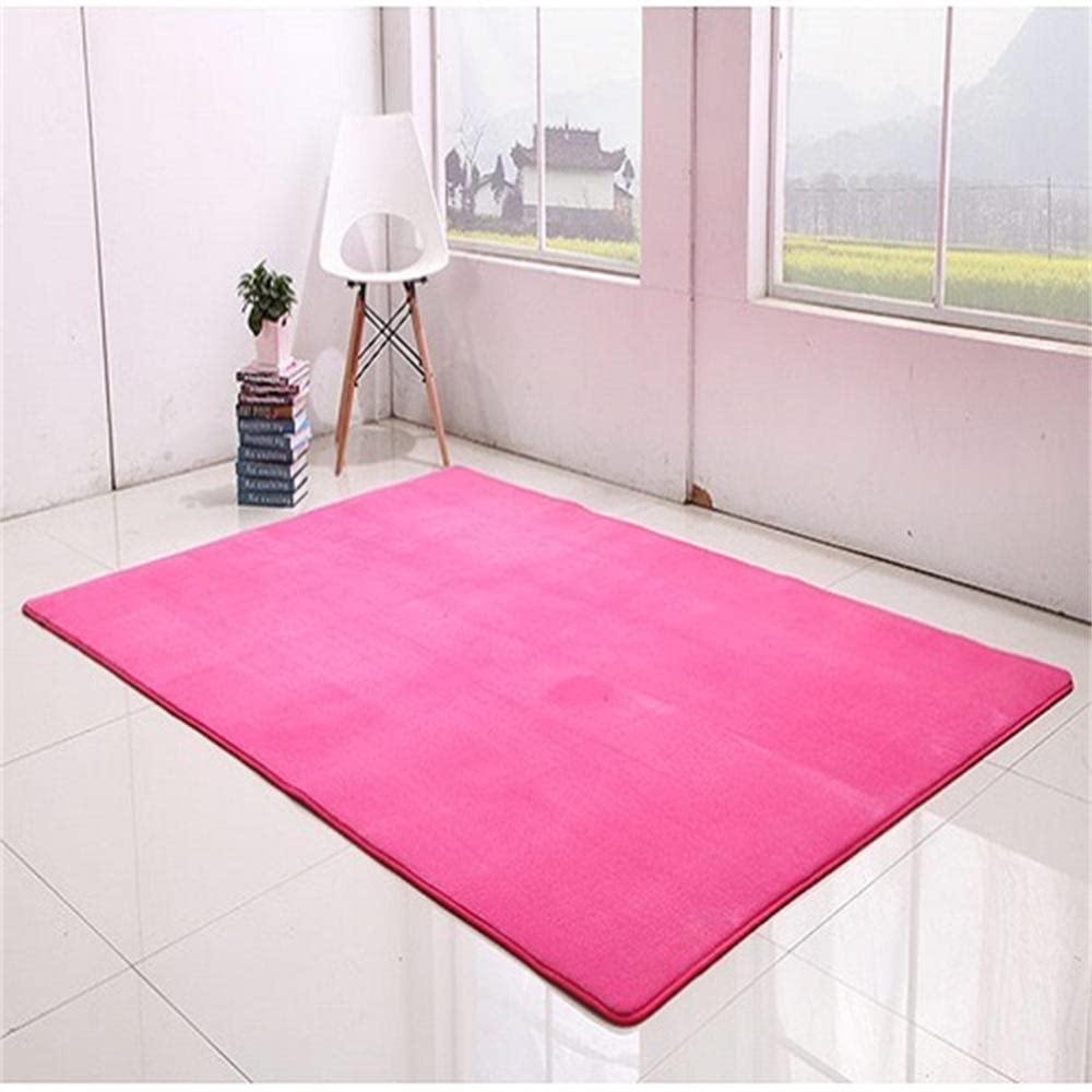 Tapis salon moderne rose grand tapis non glissant épais doux chambre