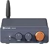 Amplifier BT20A Pro Max Power 600W TPA3255 Mini HiFi Bluetooth Sound Home Stereo 2.0ChannelsBlue add 32V power