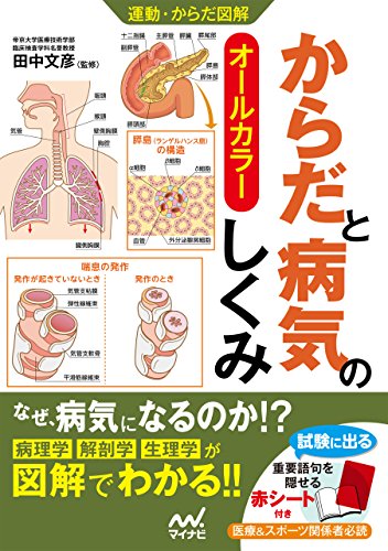 運動 からだ図解 からだと病気のしくみ 田中 文彦 医学 薬学 Kindleストア Amazon