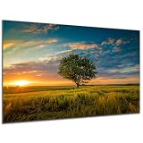 DARO Design - Wand-Bild auf 6mm HDF 30x20cm Baum Abendsonne - Wand-Deko Bilder Geschenk ...