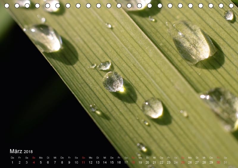 Der vegane Küchenkalender (Tischkalender 2018 DIN A5 quer): Foodfotografie für die fleischlose Küche (Monatskalender, 14 Seiten ) (CALVENDO Lifestyle) [Kalender] [Apr 01, 2017] Weis, Stefan