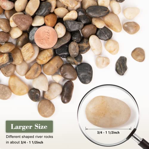 Future Way 5Lbs Jade Pebble And 5Lbs River Rocks For Plants, Decorative Rocks For Succulent, Bamboo, Fish Tank, Matte Texture And Smooth Edge #TOP2