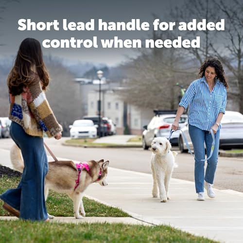 PetSafe Comfort 4 ft Bungee Dog Leash, Black by PetSafe - Used condition - Image 5