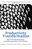 Productivity Transformation: My Immensely Rewarding But Perilous Journey With JK Synthetics (Change series)
